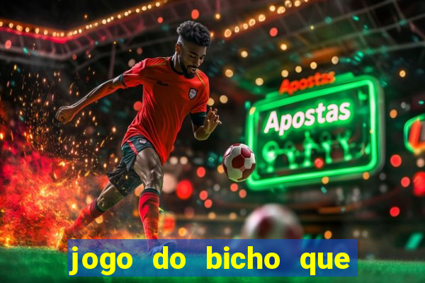 jogo do bicho que paga no pix